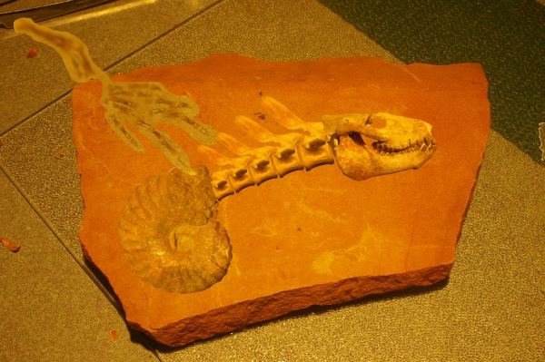 Creation of Whatchamacallitasaurus: Step 11